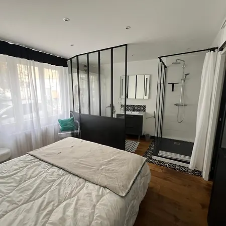 Le Cocon Citadin Atypique Et Son Patio アパート トゥール